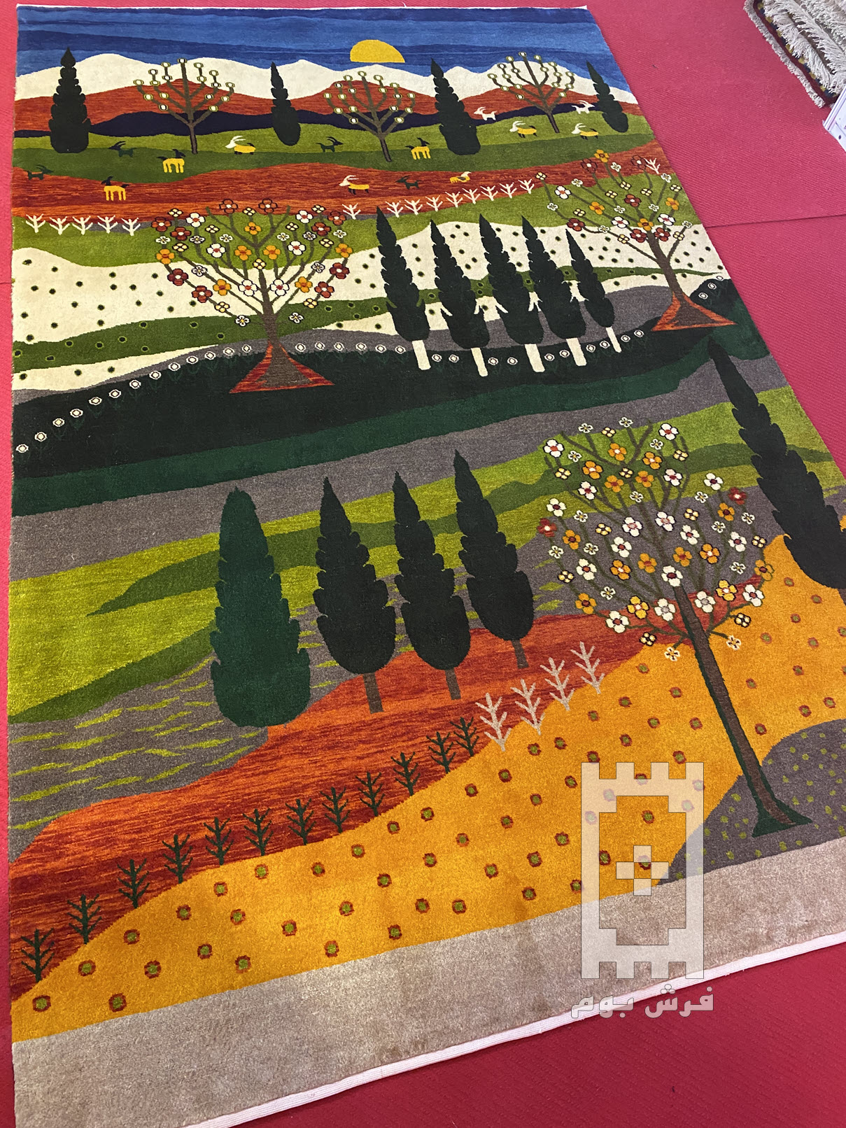 IMG_8816