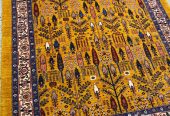 IMG_20231206_163020_173