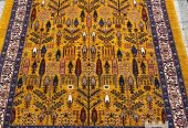 IMG_20231206_163020_309